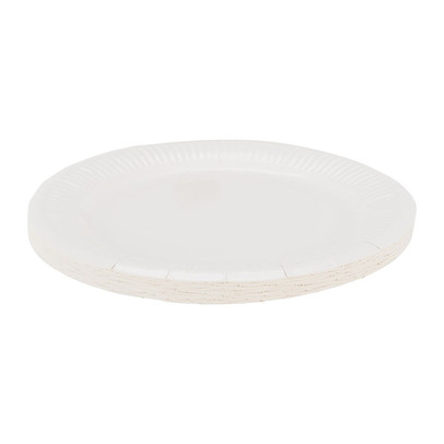 Wegwerpbordjes – 23 cm – wit – set van 20