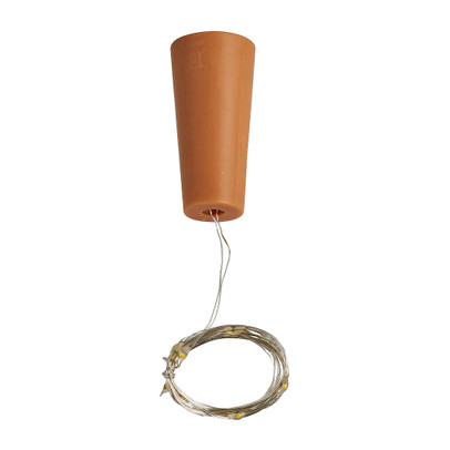 Flessen LED lampjes – 1 m