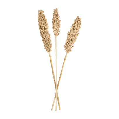 Sorghen blank – 70 cm