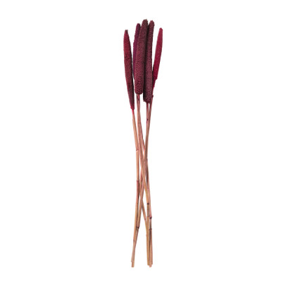 Babala – roze – 70 cm