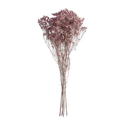 Droogbloem gipskruid – roze – 65 cm