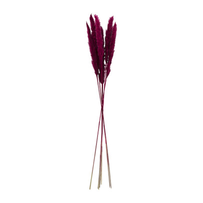 Pluim – bordeaux – 60 cm