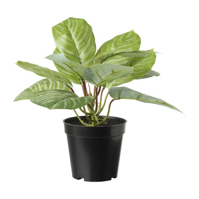 Aglaonema kunstplant – groen – ø14×30 cm