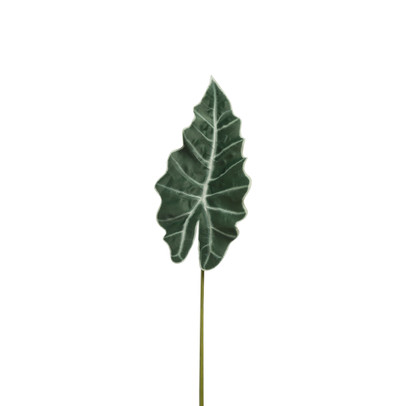 Alocasia blad – 86 cm