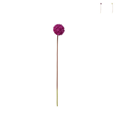 Allium – diverse kleuren – 79 cm