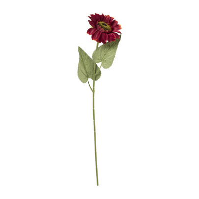 Zonnebloem – rood – 62 cm