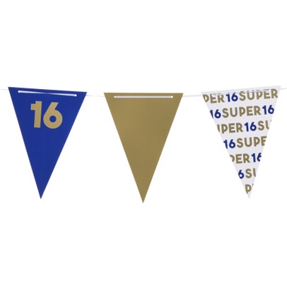 Vlaggenlijn 16 jaar – blauw – 10 meter