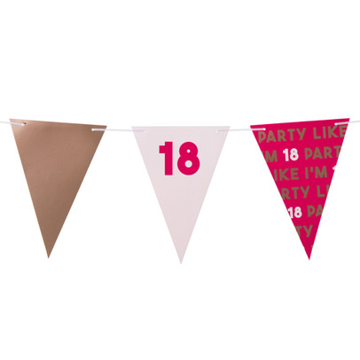 Vlaggenlijn 18 jaar – roze – 10 meter