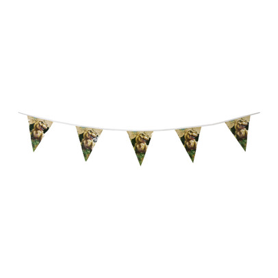 Vlaggenlijn dino – multikleur – 6 meter