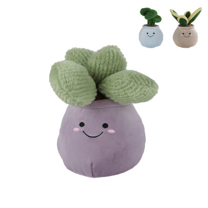 Pluche plant groot – diverse varianten – 22 cm