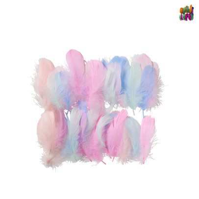 Veren – multikleur – set van 50 – diverse varianten