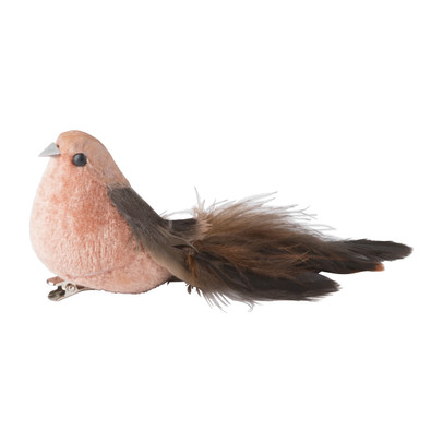 Vogel op clip – bruin