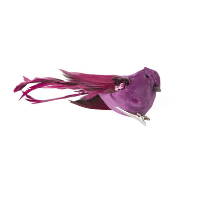 Vogel op clip – paars