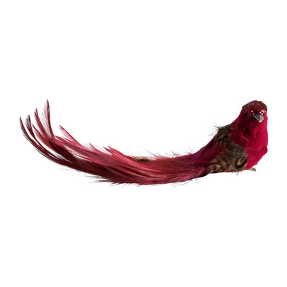Vogel op clip – rood